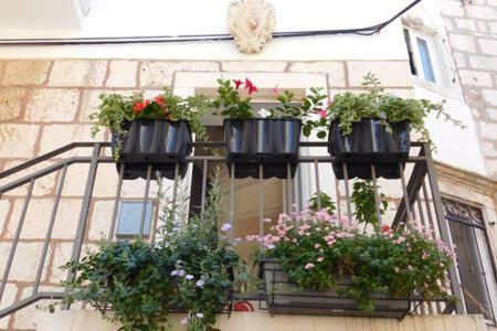 Punat Apartment